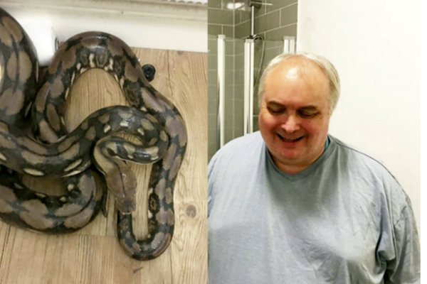 熬夜看球不伤身
：排球比赛 未来的健康指南