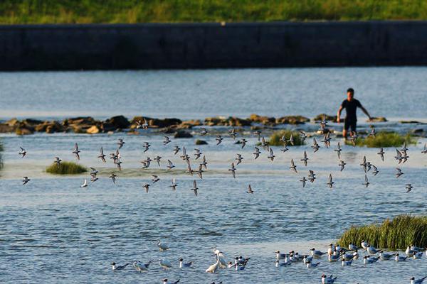 孕前饮食减肥零食做法不用