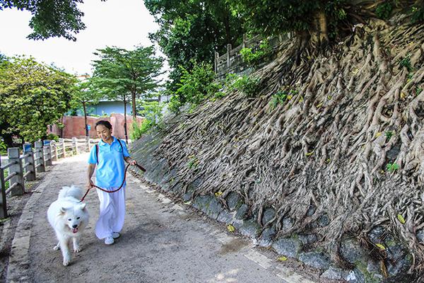 南京珍珠泉，地下泉水冒出似明珠