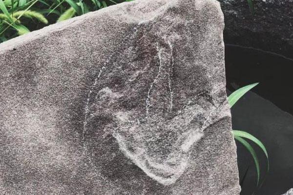 球迷必看�！英超 入门：提升观赛乐趣的五大秘诀