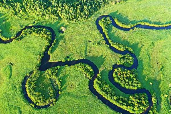 數字娛樂的巔峰藝術：Shibo APP 如何重塑您的視聽與休閒新視界 