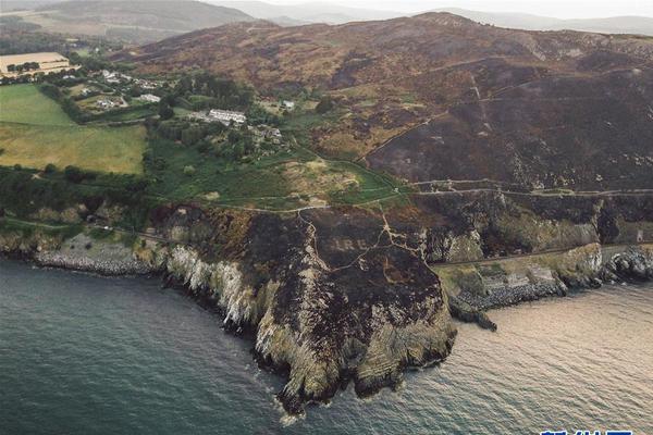 马娘寄是什么梗