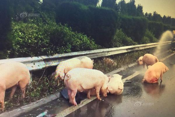 孙绍骋：退役军人保障法有望今年提交审议