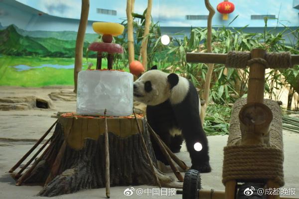 为生活注入温暖力量——治愈系文化消费现象观察