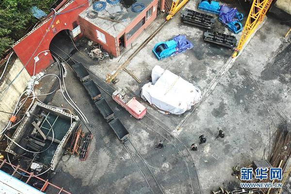 2025年今晚澳门特马详细解答、解释与落实