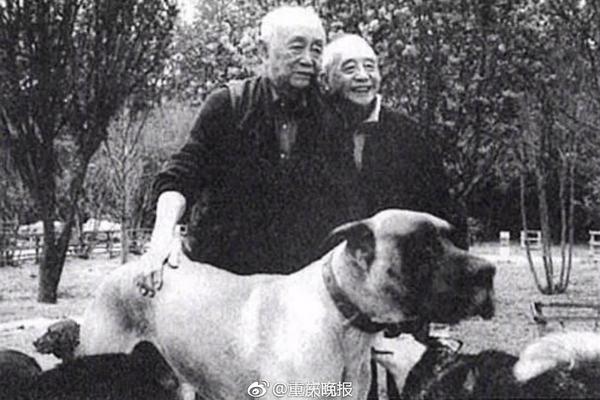 鹫尾芽衣作品在线观看指南