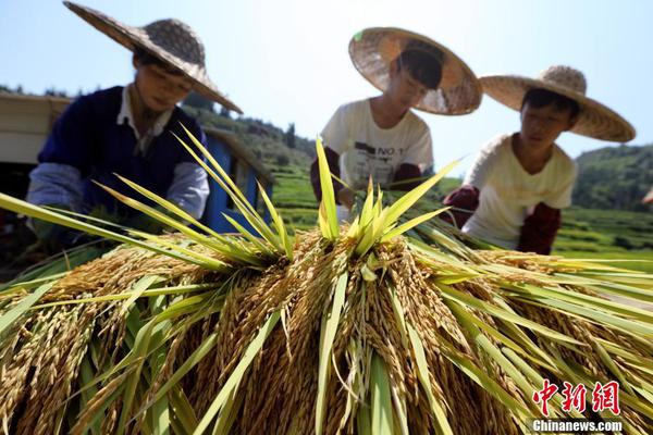 西安旅游有哪些美食是一定要尝一下的？