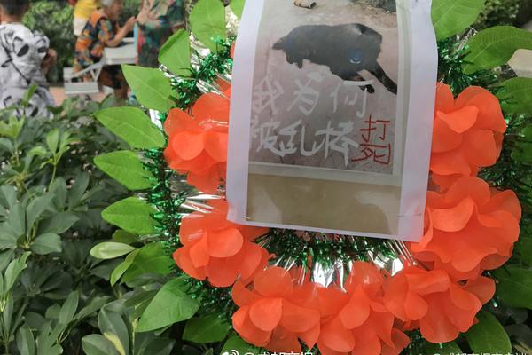 中国代表团派出35名运动员赴法国参加世界中学生运动会