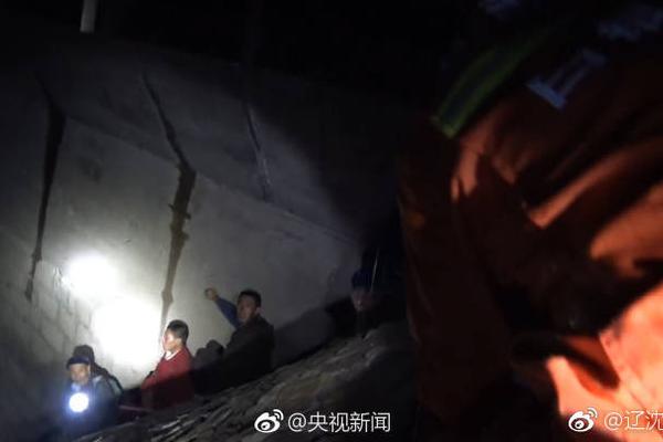 外国体罚与在线视频资源指南