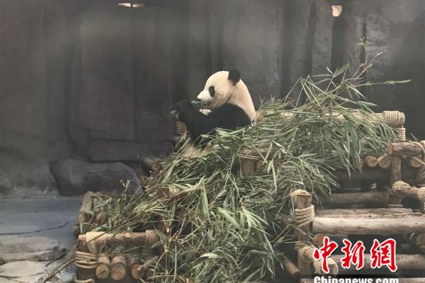 专家学者将来亳共商中药材市场发展