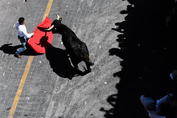 蛐螋蟲咬人嗎有毒嗎 