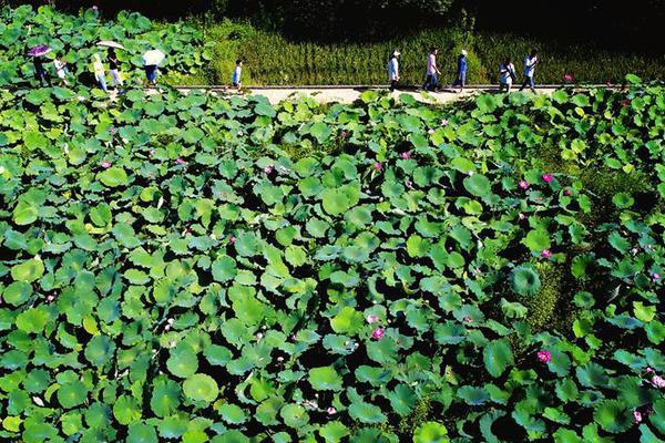 “奋斗百年路 启航新征程”大型主题采访活动启动