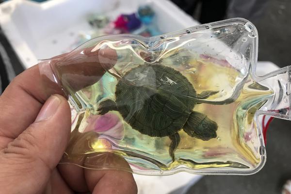 厦门市思明区为快递从业者送上暖心关怀