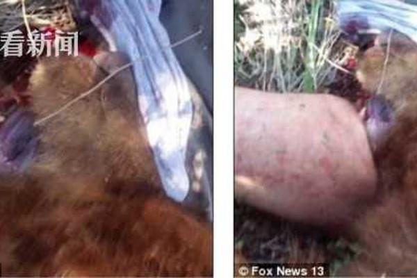 Cash88 login 攻略：開啟您的財(cái)富之門，體驗(yàn)巔峰娛樂的最佳選擇 