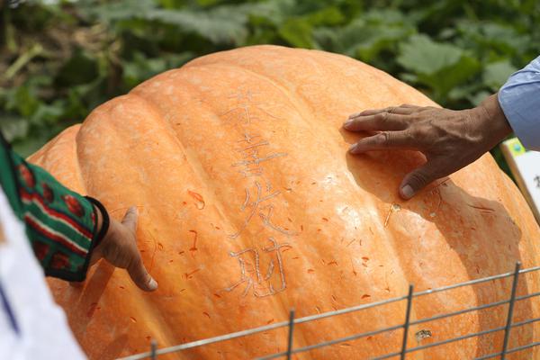 硼酸溶液标准物质：满足科研生产需求