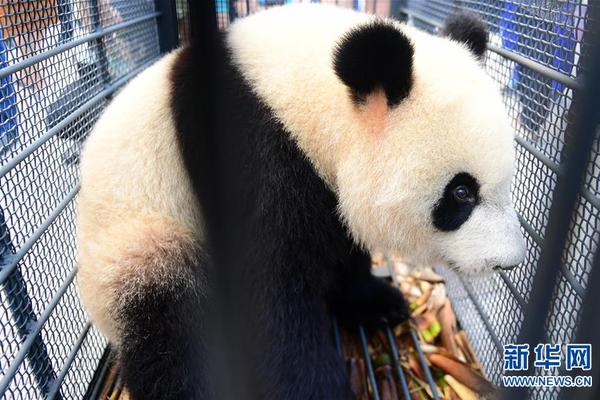 亚洲杯：后卫频频失误 中国队三球不敌伊朗队