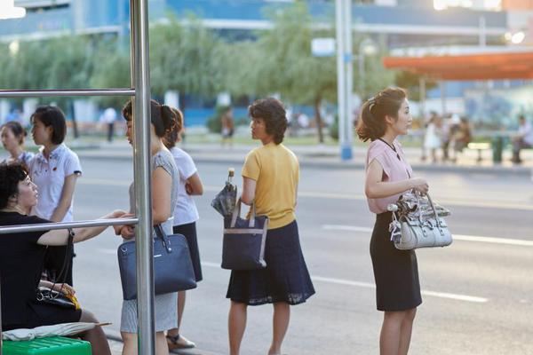 解鎖東方之珠的數位鑰匙：2024年香港數據卡（Data Card Hong Kong）最強選購與避坑指南 