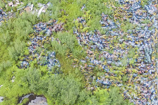 2025澳门特马开奖查询详细解答、解释与落实