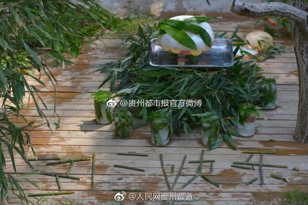 “维护文化”：一块牌匾背后的抗战办学往事