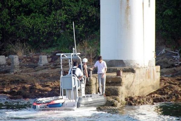 澳洲一大树“哭泣”引百人膜拜 水务公司：水管...