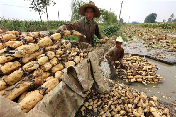 CBA：广东主场爆冷不敌吉林 止步18连胜