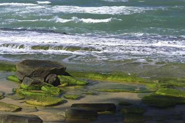 智能时代：体育直播 哪里看如何玩转高科技设备？