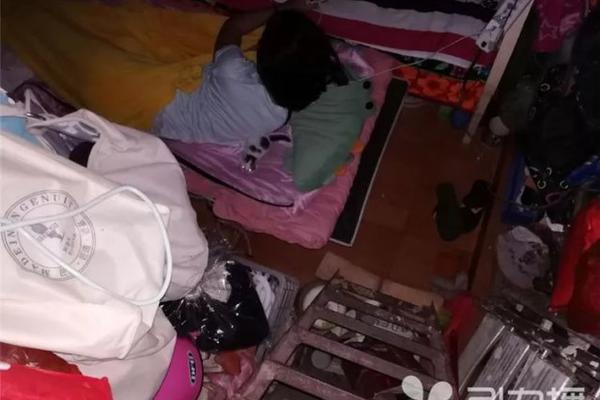 不仅仅是比赛：体育新闻 哪里看背后的文化与故事