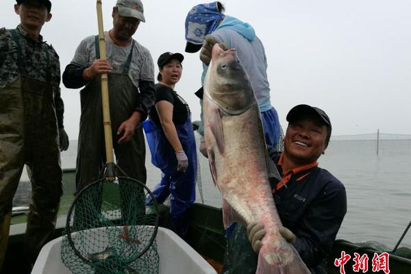 冷兵器時代的各國騎兵鑒賞