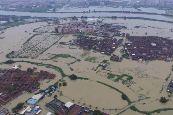 七星武汉助孕地址,孕妇如何预防得痔疮