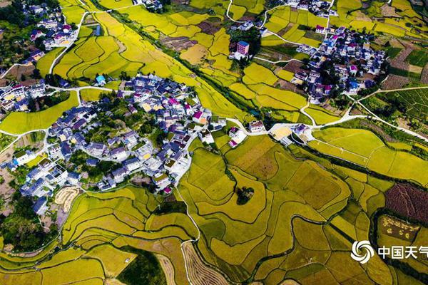 巔峰娛樂新標杆：DG娛樂城，讓每一場博弈都成為極致奢華的視聽盛宴 