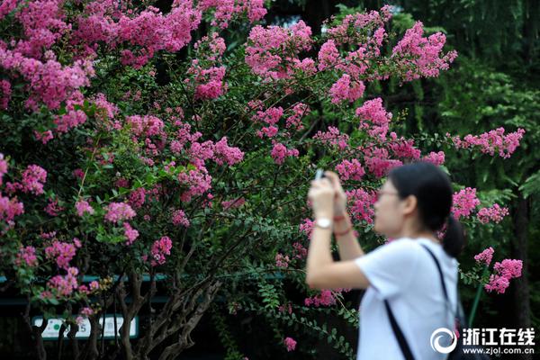 熟睡的妹妹——韩国影视剧深度解析与在线观看指南