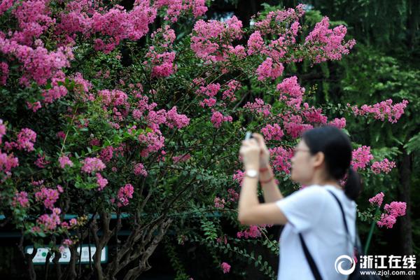 中国认证认可机构发布两项经济社会发展“晴雨表”指数