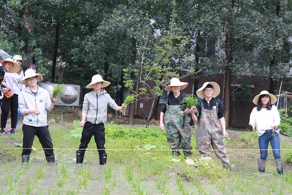 报告称中国临床医护人员积极应用AI技术