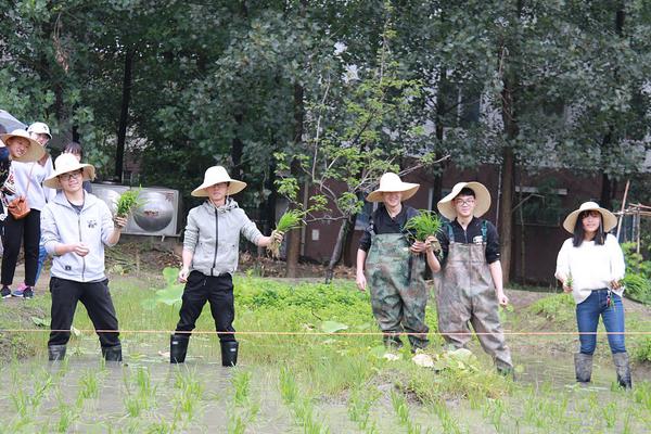 西宁服务西宁试管武汉代怀孕服务费用