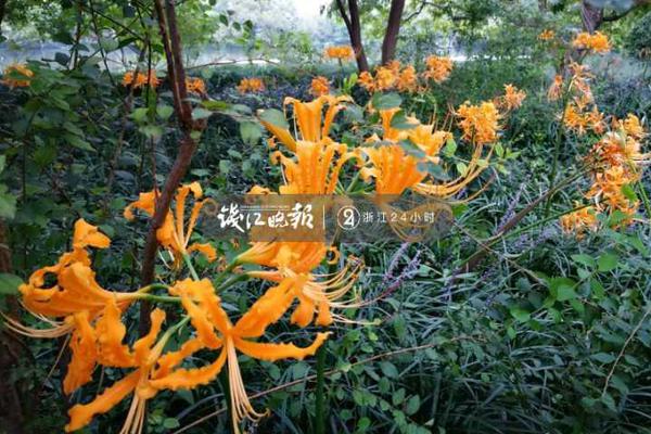 大学%美女上门服务多少钱一次