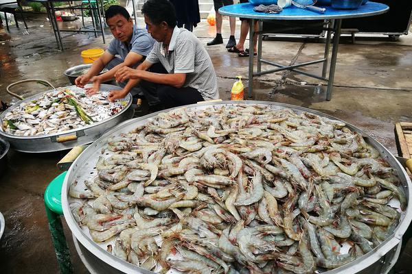 定远县朱湾镇：主题科普宣讲进校园