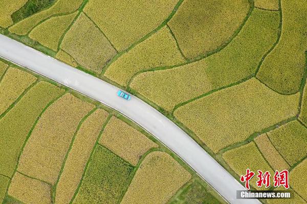 解密足球博弈的高階玩法：從「波膽意思」看透高賠率背後的致富邏輯 