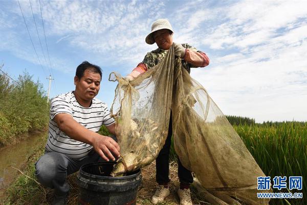 奥奇传说手游破解版下载2024