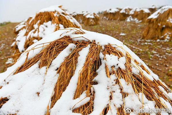 国六怪象:想买买不到不想买狂降