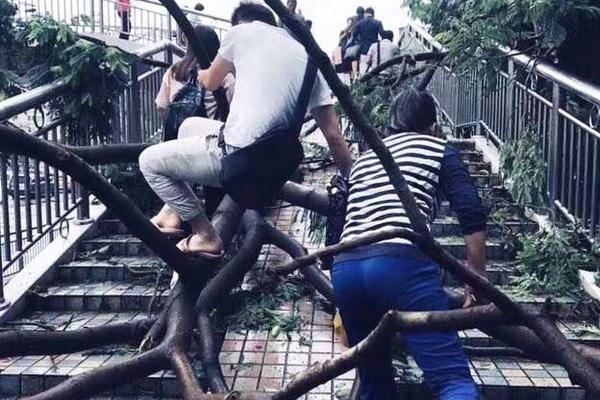 贵子降世母亲生产特征汇总，可能会有喜鹊来家