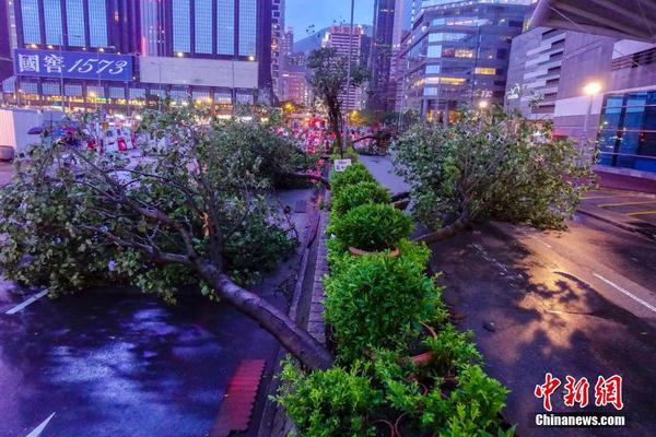 第二届“东方·比邻节”温情落幕