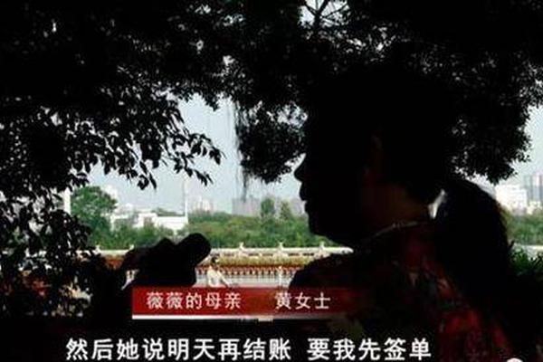 萱萱日记4部曲，网络视频内容探索与分享