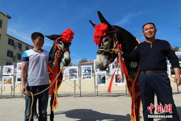 沙漠化的原因是什么