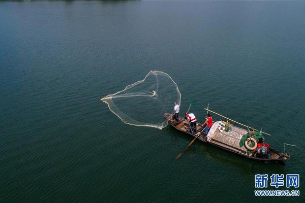 喚醒那段熱血歲月：HKGameone——不止是遊戲，更是一代香港人的江湖夢 