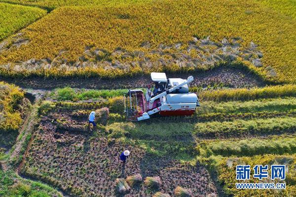 长沙楼市一季度缘何“冰火两重天”