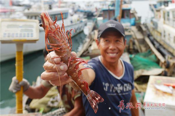 49819金算盘最快开奖结果