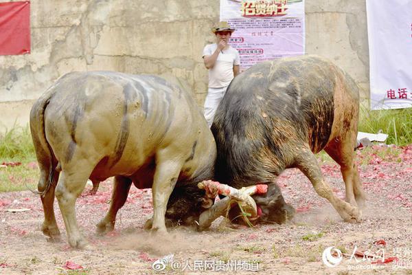 婚纱吊兰怎么养长得好