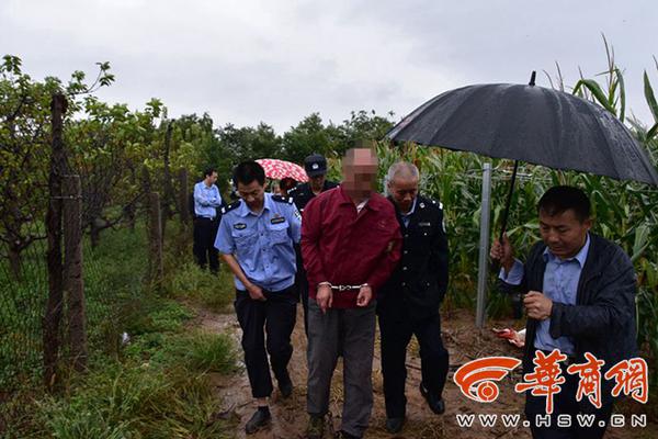 倩女幽魂，陈可心现在观看指南