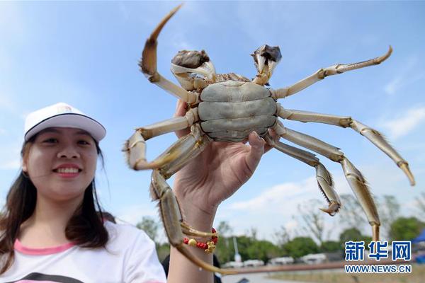 完美飞行电影完整版在线