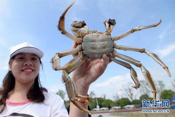 ﻿粤增配欧标充电设备 满足港车需求